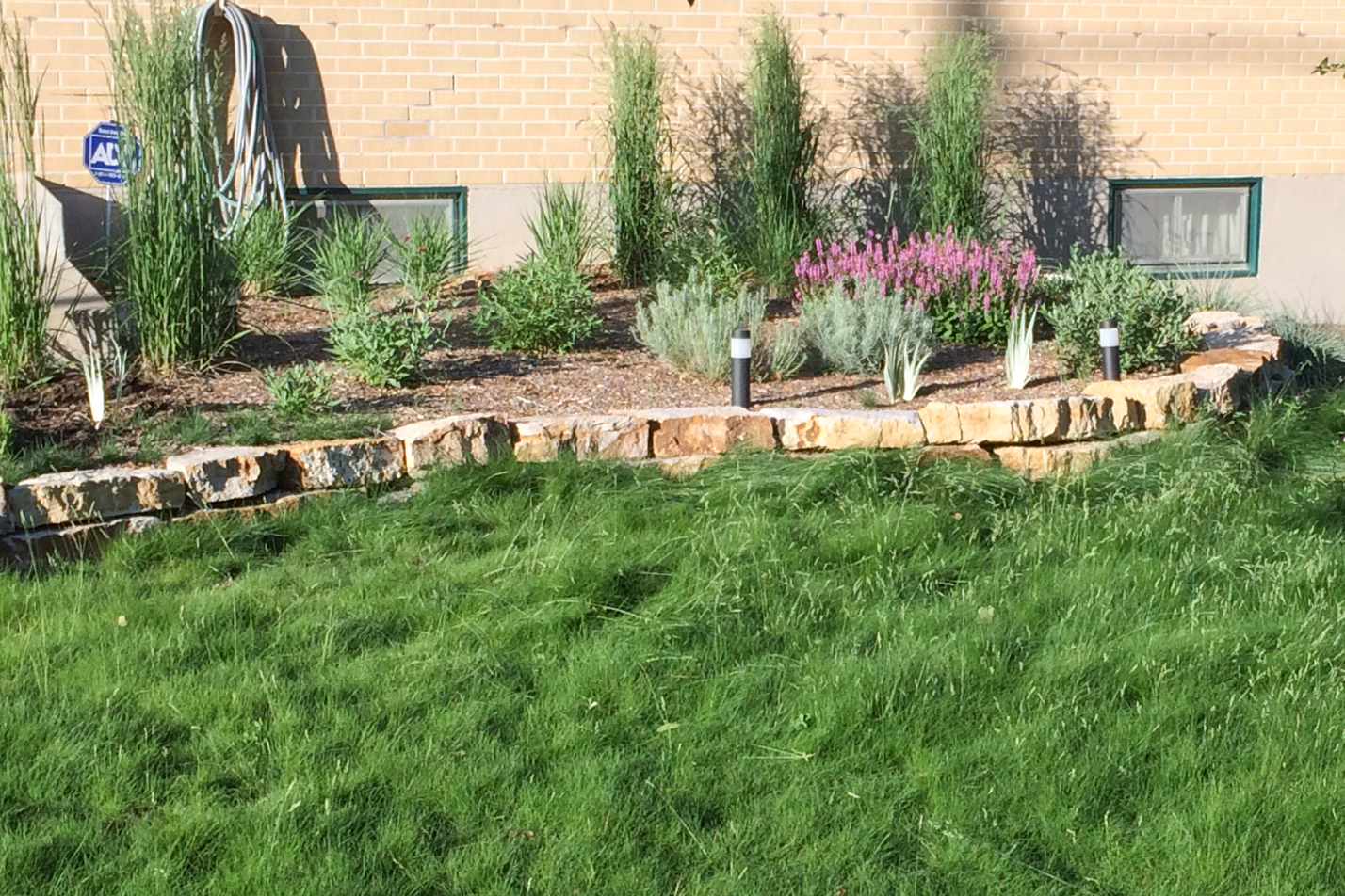 Low Maintenance Reno